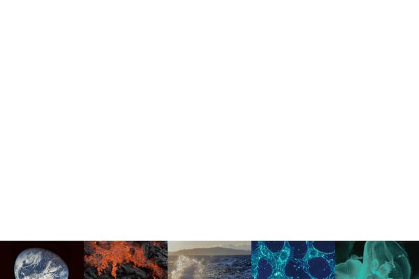 Divi_child theme site design template sample