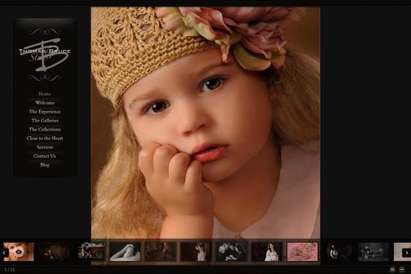 Chocolate theme site design template sample