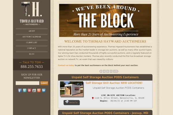 th2014 theme websites examples