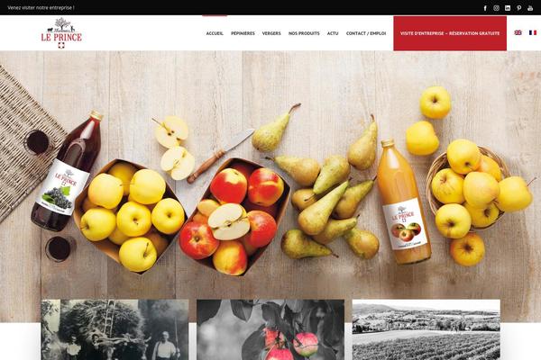 Dfd-native theme site design template sample