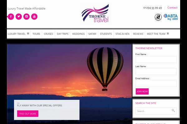 thorne theme websites examples