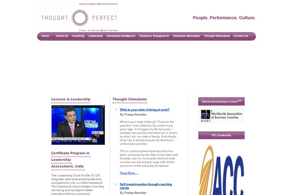 Professional theme site design template sample