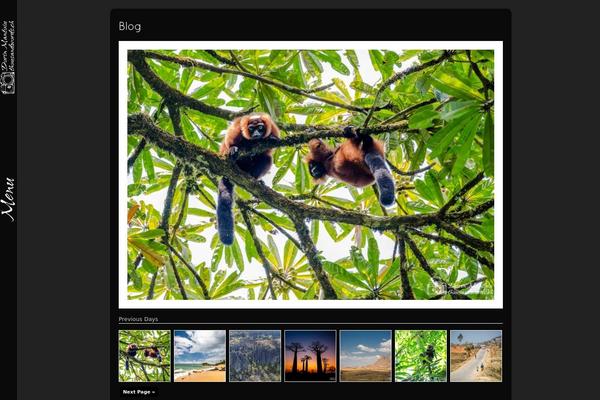Anan theme site design template sample