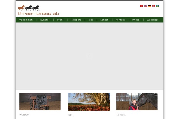 Nevada theme site design template sample