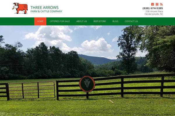 Csradix theme site design template sample
