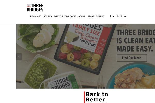 Salient theme site design template sample