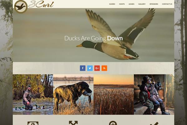 Site using Gantry 4 Framework plugin