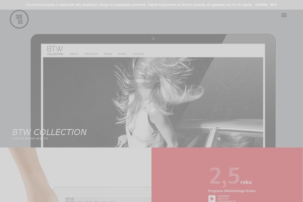Lobo theme site design template sample