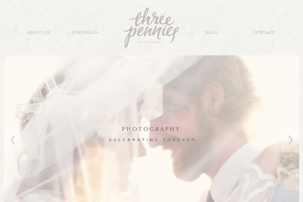 Site using Pinterest Image Pinner From Collective Bias plugin