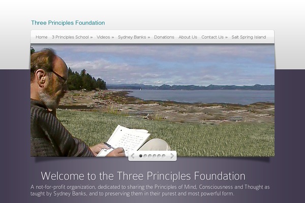 Site using Divi-100-article-card plugin