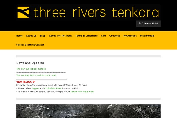 Ambition theme site design template sample