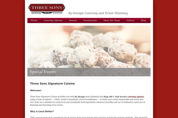 threesonskitchen.com site used Silverclean Lite
