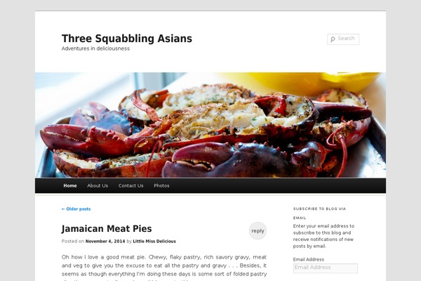 Duster theme site design template sample