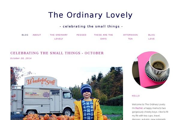 Site using Instagram for WordPress plugin