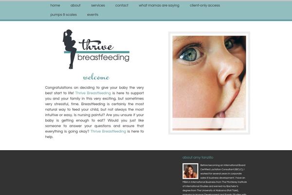 Bb-theme-child theme site design template sample