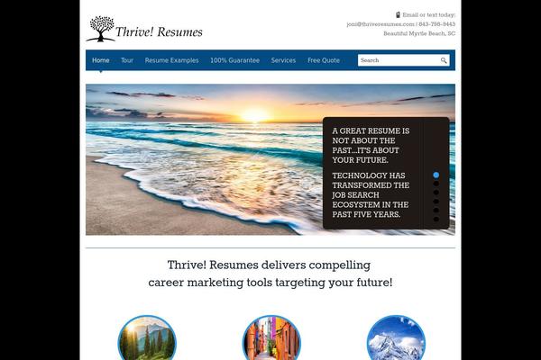 Blackbird theme site design template sample