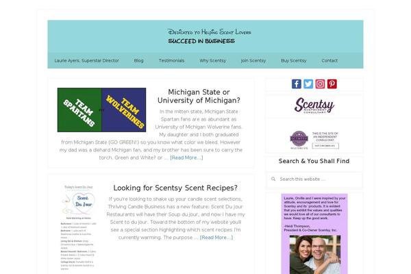 Lifestyle Pro theme site design template sample