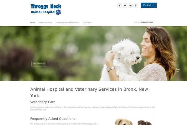 Medical Doctor theme site design template sample