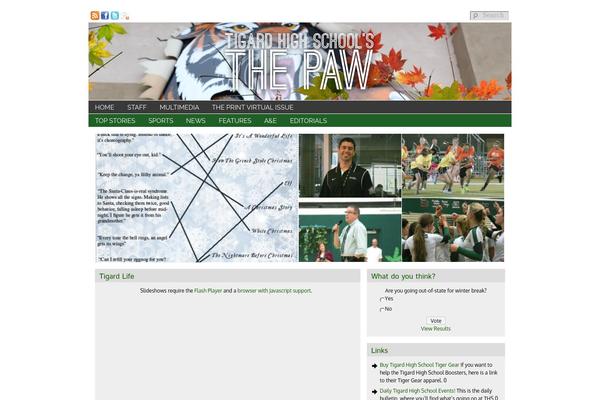 Sno Flex theme site design template sample