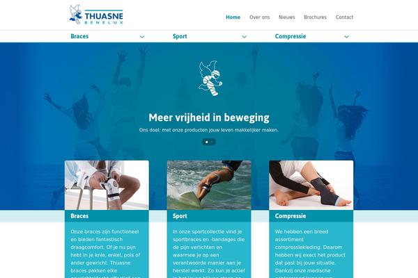 Admium theme site design template sample