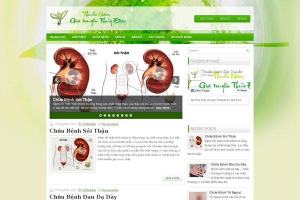 Site using SEO Facebook Comment plugin