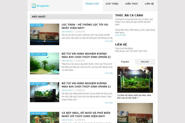 Site using WP Tab Widget plugin