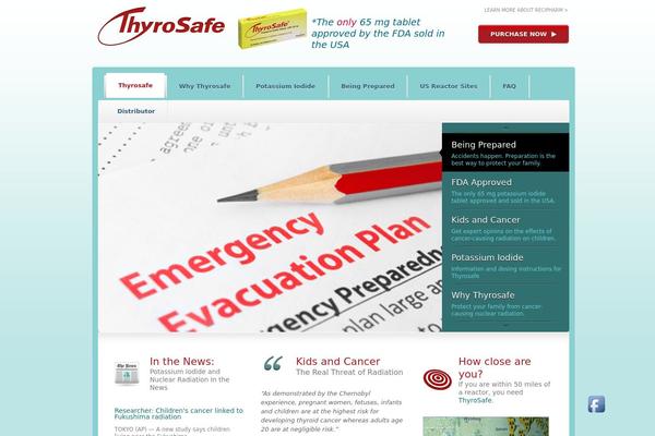 Site using CP Easy Form Builder plugin