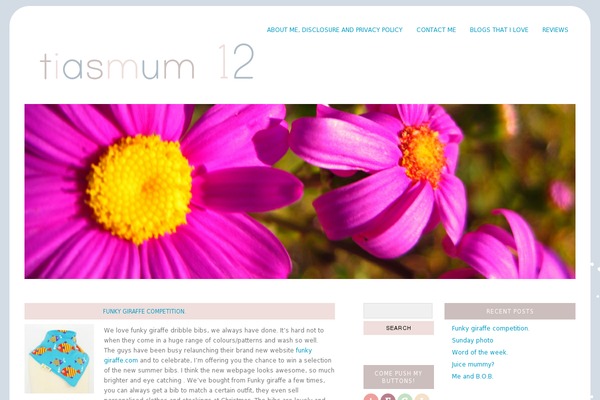 Yoko theme site design template sample