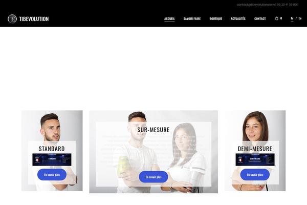 Norebro theme site design template sample