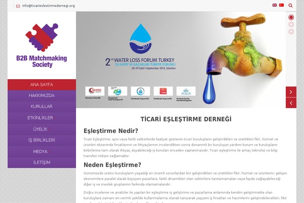 vertikal-child theme websites examples