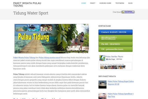 Minimum Pro theme site design template sample