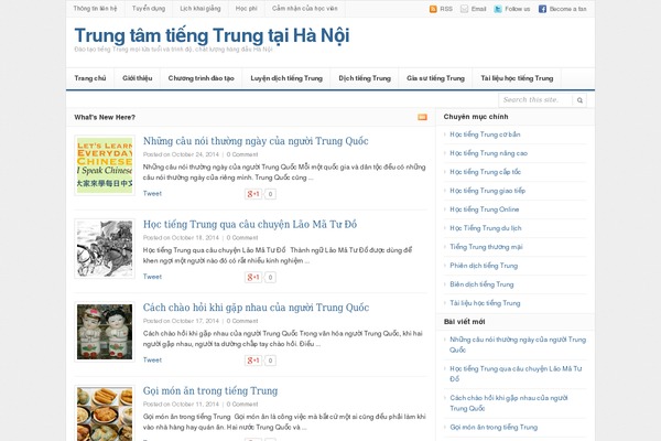 Daily theme site design template sample