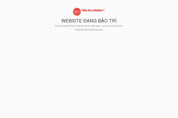 tienpromobile.com site used Bigboom