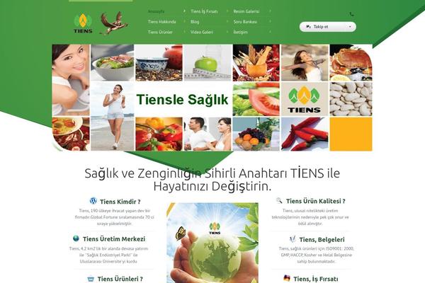 Nollie theme site design template sample