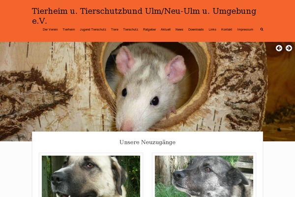 Pet-rescue theme site design template sample