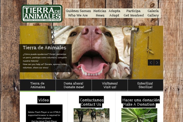 Site using All-In-One Cufon plugin
