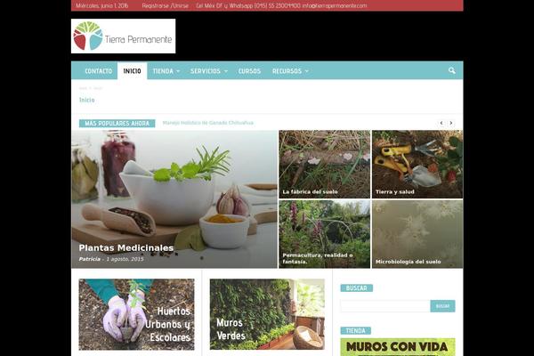 Avada Child Theme theme site design template sample
