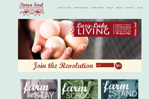 Site using Click To Tweet plugin