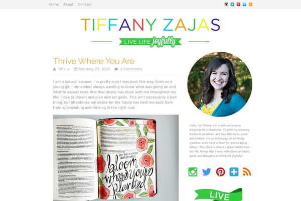 Standard theme site design template sample