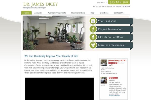 Site using Google Places Reviews plugin