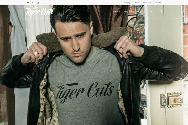 Salient theme site design template sample