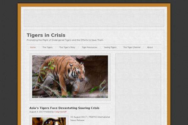 Infinity-pro theme site design template sample