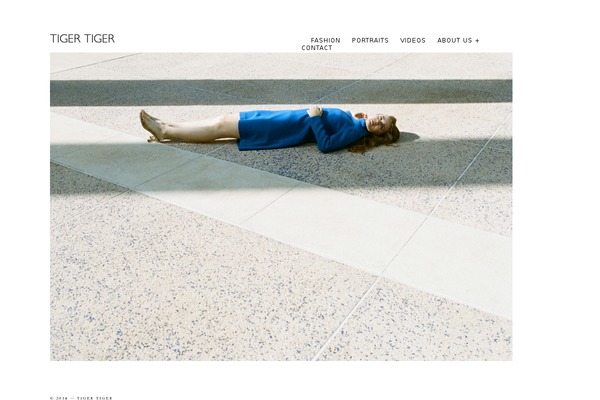 Site using Carousel Gallery plugin
