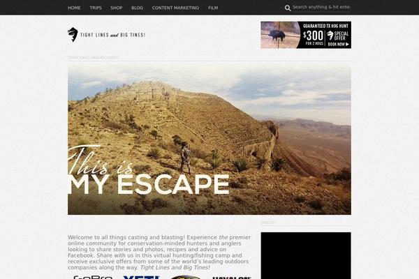 Site using Basic Instagram Widget plugin