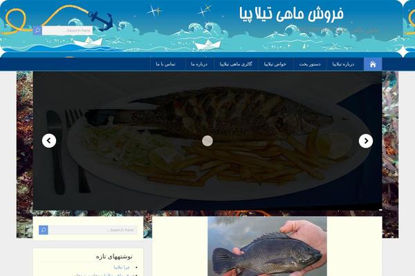ShootingStar theme site design template sample