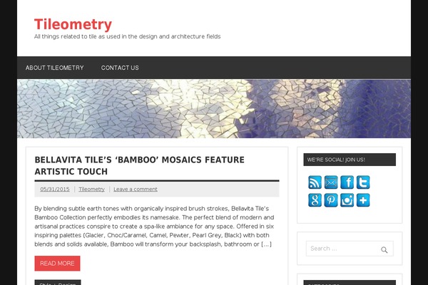 Dynamic News Lite theme site design template sample