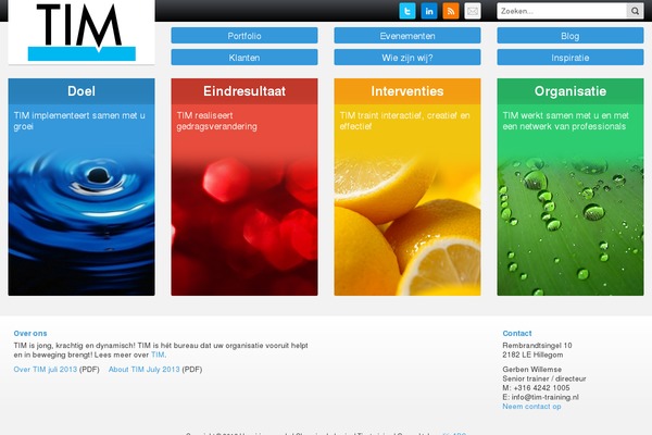 Tim theme site design template sample