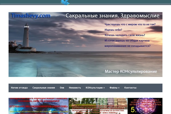 Webfactory theme site design template sample