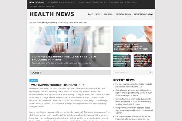 Point theme site design template sample