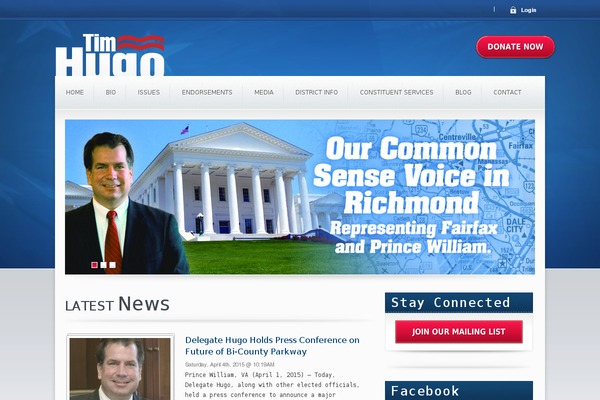 Candidate theme site design template sample